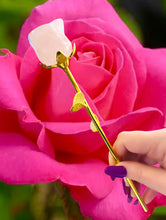 Load image into Gallery viewer, Rose Quartz Gold Stem