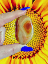 Load and play video in Gallery viewer, Sardonyx Large Palm Stones