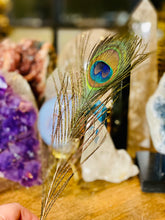 Load image into Gallery viewer, Peacock Feather