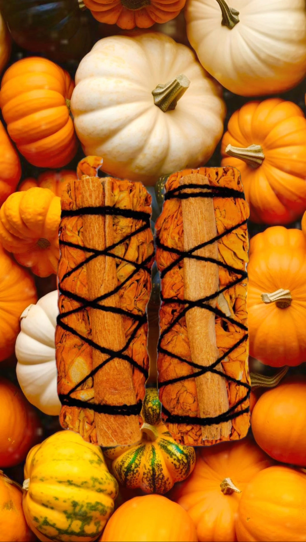 Cinnamon Pumpkin Spice Sage