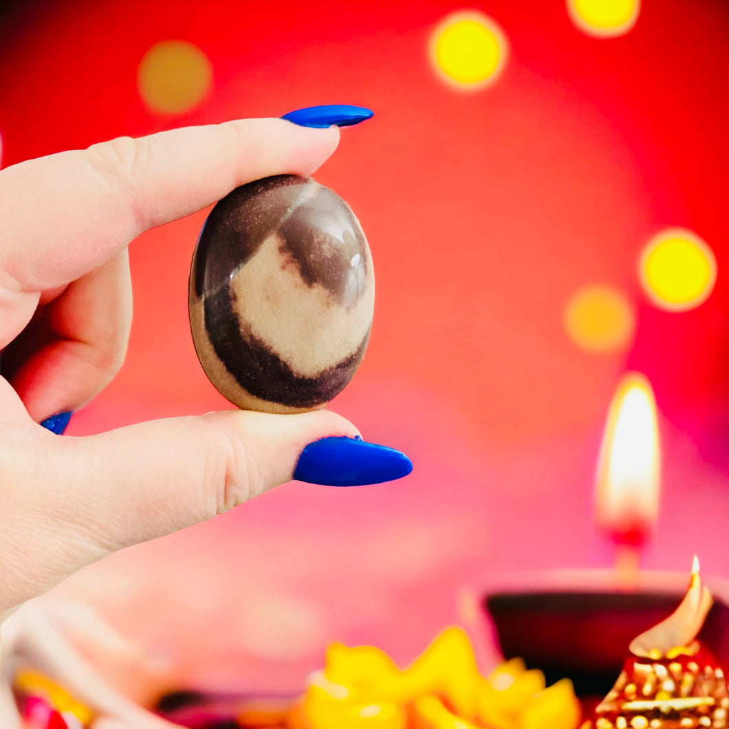 Shiva Lingam Palm Stone