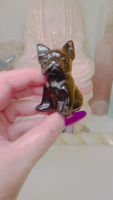 Load and play video in Gallery viewer, Tiger’s Eye French Bulldog
