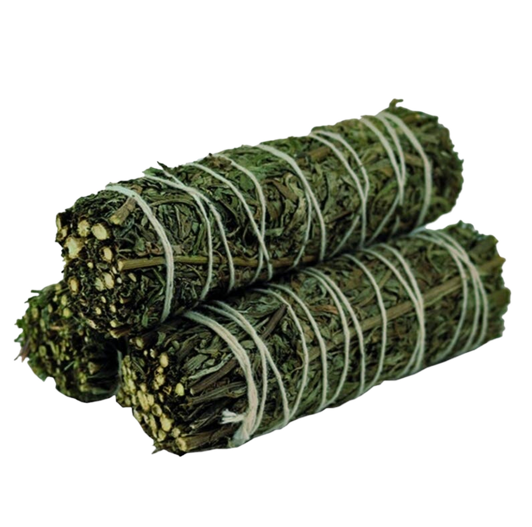 Mugwort Sage