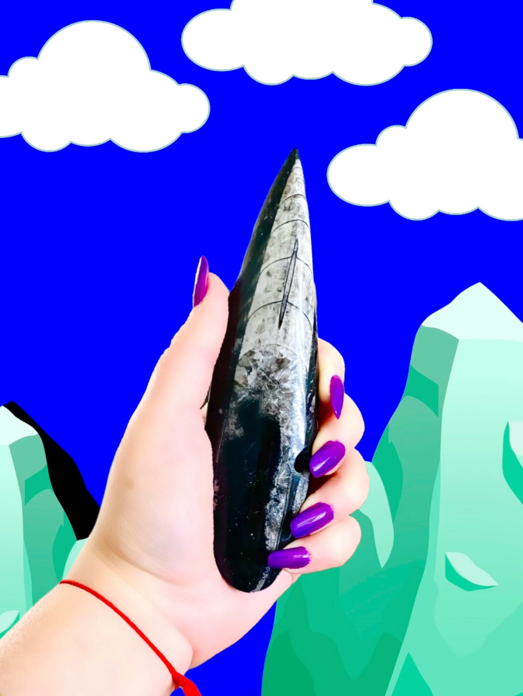 Orthoceras